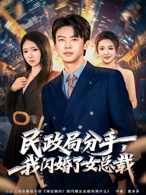 民政局分手，我闪婚了女总裁（72集）熬夜也要追的短剧