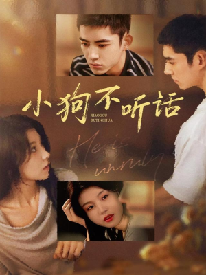 小狗不听话（70集）百亿好看短剧推荐