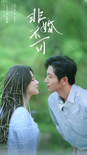 非婚不可（65集）短剧最终章免费合集