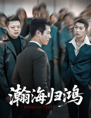 瀚海归鸿（74集）喜欢追剧的看过来