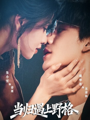 当归遇上野格（66集）好看短剧不容错过