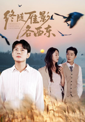 终随雁影各西东（86集）太好看了强烈推荐短剧