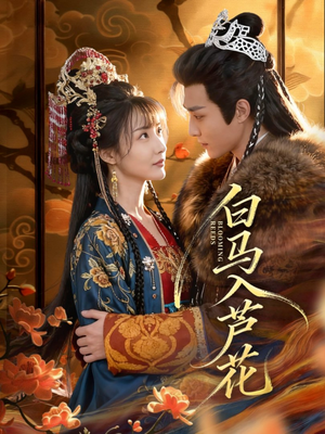 白马入芦花(59集) 白马入芦花(59集)每日更新短剧精彩片段