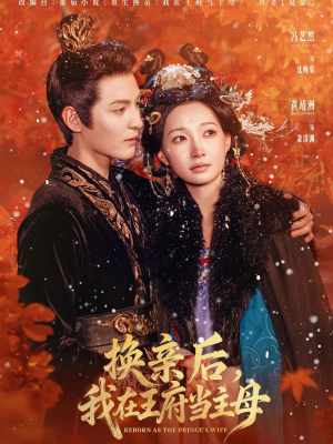 换亲后,我在王府当主母(80集) 换亲后,我在王府当主母(80集)温柔追捕短剧剧情