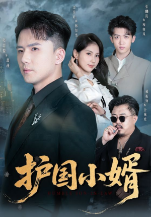 护国小婿（60集）短剧全集高清无码版