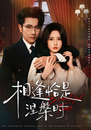 相逢恰是涅槃时（63集）超火爆短剧抢先看
