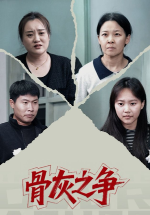 骨灰之争（30集）短剧解说推荐好剧