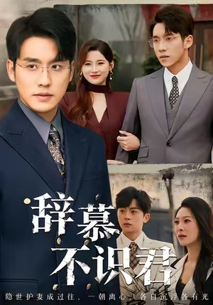 辞慕不识君(77集) 辞慕不识君(77集)悟空游览器免费看短剧