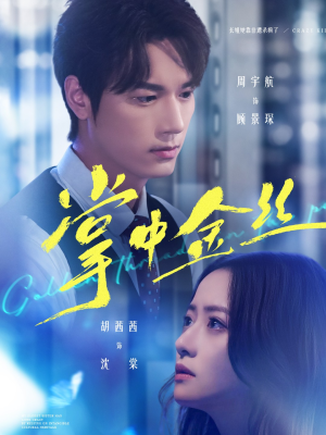 长姐她竟是隐藏大佬（60集）重生短剧热门短剧推荐