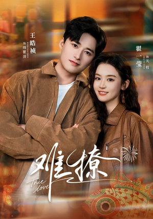 难撩（100集）全网最火爆的短剧