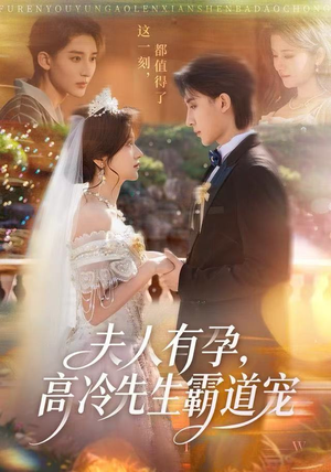 夫人有孕，高冷先生霸道宠（60集）古装热门短剧推荐