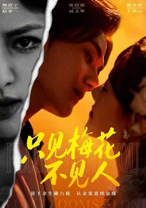 只见梅花不见人（63集）短剧最热榜最近火