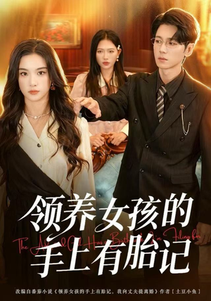 领养女孩的手上有胎记（60集）短剧热播全集免费追