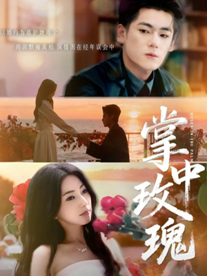 掌中玫瑰（60集）分享短剧每天更新