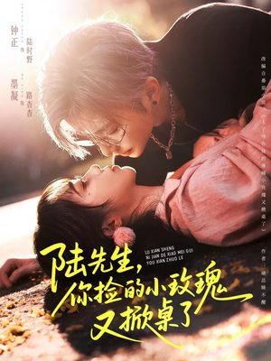 陆先生，你捡的小玫瑰又掀桌了（74集）短剧合集杜比音效版