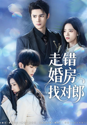 走错婚房找对郎（50集） 这短剧也太好看了