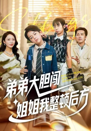 弟弟大胆闯，姐姐我整顿后方（100集）推荐热门短剧全集