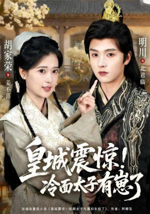 皇城震惊冷面太子有崽了（105集）超好看短剧追不停