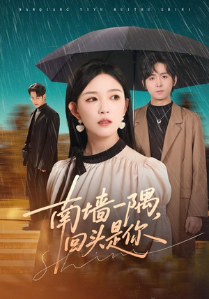 南墙一隅，回头是你（61集）热门短剧新剧推荐