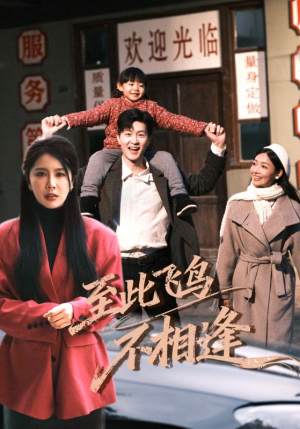 至此飞鸟不相逢（70集）每天更新精彩短剧