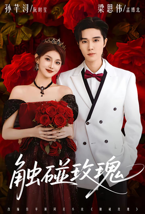 触碰玫瑰（80集）短剧分享好剧推荐