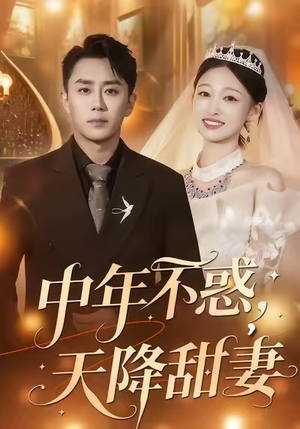 中年不惑，天降甜妻（60集）短剧全集畅看无门槛