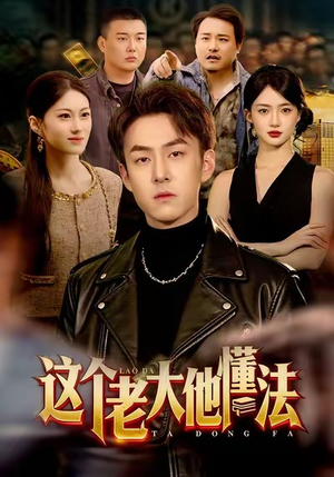 这个老大他懂法（100集）古装短剧热门推荐