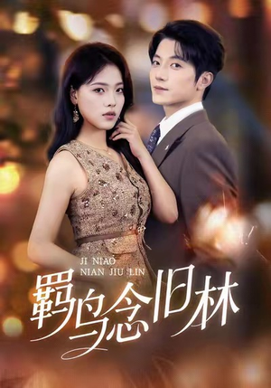 羁鸟念旧林（60集）今日热门短剧推荐