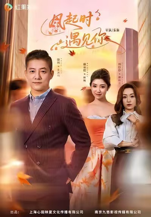 风起时遇见你（59集）火热短剧正在热播