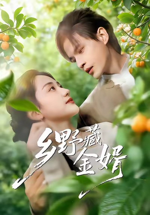 乡野藏金婿（50集）火爆短剧精彩片段