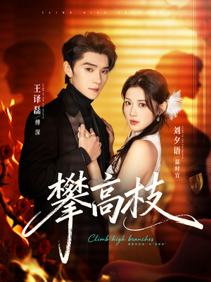 攀高枝（70集）热门短剧推荐分享