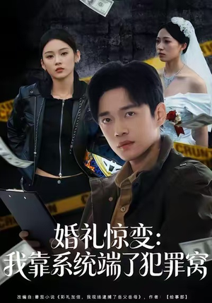 婚礼惊变：我靠系统端了犯罪窝（80集）百亿短剧好看计划