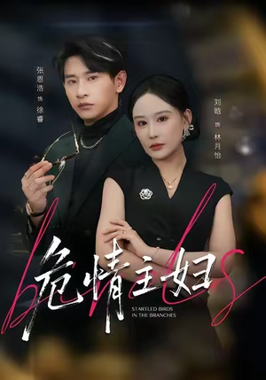 危情主妇（60集）超好看短剧追不停