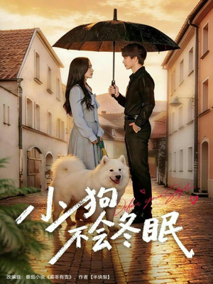 小狗不会冬眠（70集）短剧限免全集任你点
