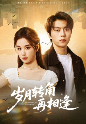 岁月转角再相逢（80集）短剧经典全集任你选
