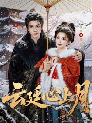 云廷心上月（80集）分享短剧每天更新