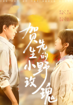 贺先生的小野玫瑰(99集) 贺先生的小野玫瑰(99集)短剧全剧免费合集