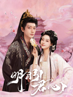 明月引君心（74集）短剧最热榜最近火