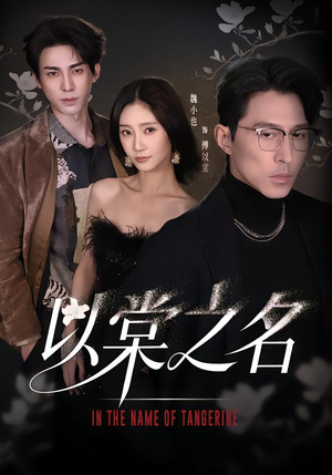 以棠之名(66集) 以棠之名(66集)每日分享不一样的短剧