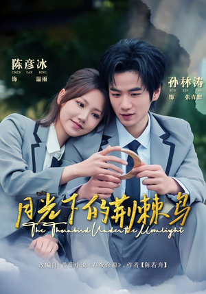 月光下的荆棘鸟(80集) 月光下的荆棘鸟(80集)每天更新热门短剧