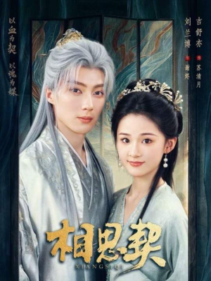 相思契(74集) 相思契(74集)热门短剧推荐分享