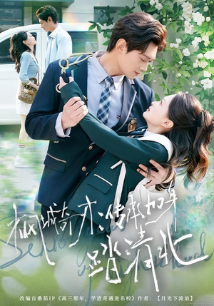 枫城奇才：传承加身踏清北（80集） 短剧解说推荐好剧