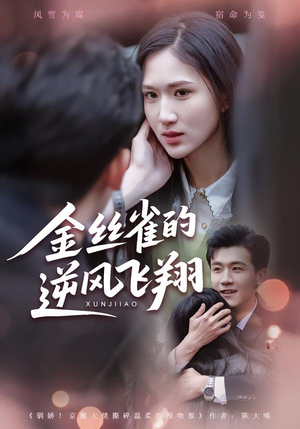 金丝雀的逆风飞翔(80集) 金丝雀的逆风飞翔(80集) 热门火爆短剧推荐