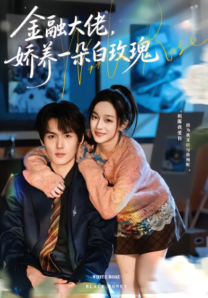 金融大佬，娇养一朵白玫瑰（70集）爆火短剧大结局抢先看