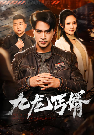 九龙丐婿（81集）短剧免费看大结局