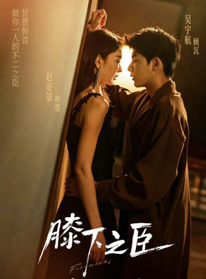 膝下之臣（56集）喜欢追剧的看过来