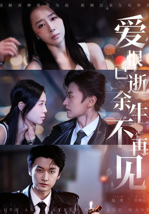 爱恨已逝，余生不再见（68集）在红果短剧免费看全集