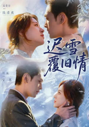迟雪覆旧情（62集）短剧解说推荐好剧