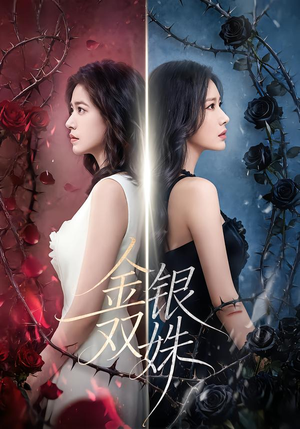 金银双姝（80集）每天更新精彩短剧