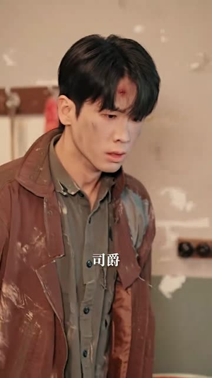 到此飞鸟不相逢（70集）短剧追到爽全集完整版